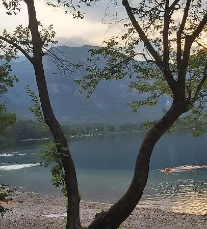 Ferienhaus Apartma Lodi Za Dve,stiri, Sest, Ali Osem Oseb *