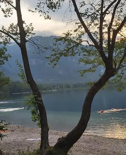 別荘 Apartma Lodi Za Dve,stiri, Sest, Ali Osem Oseb *