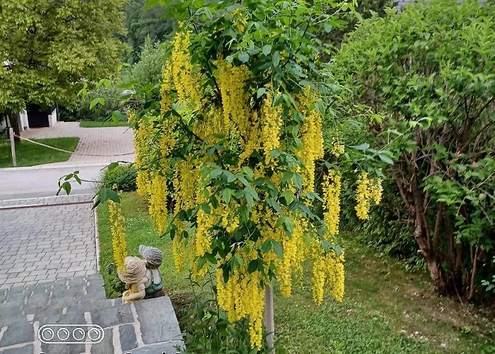 Apartma Lodi Za Dve,stiri, Sest, Ali Osem Oseb 別荘